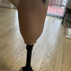 Prosthetic Leg