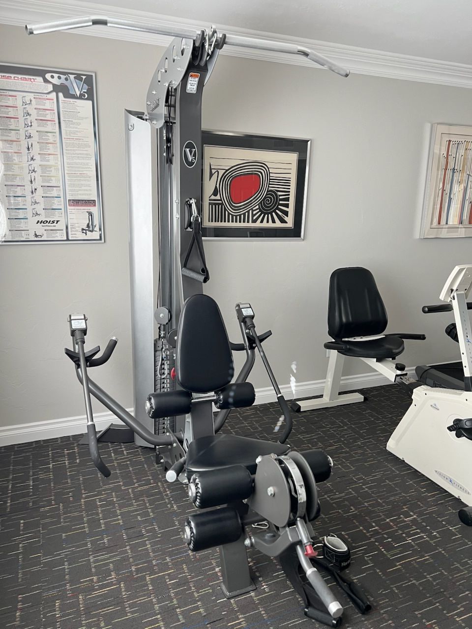 Hoist V5 Weight Machine
