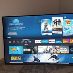 LG 55” HDTV + NEW 4K Fire Stick – $180 OBO (Negotiable) 