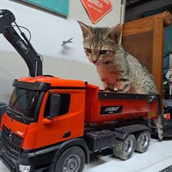Rc Dump Truck
