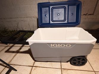 Igloo cooler