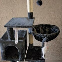 Starter Cat Bundle (5 Items) $120 - New