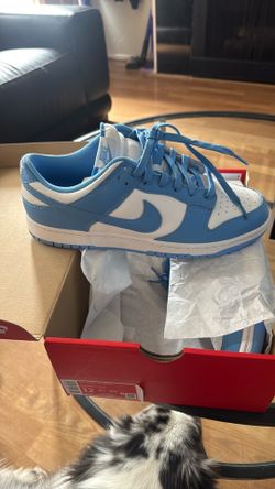 Nike Dunk Low UNC (2021)
