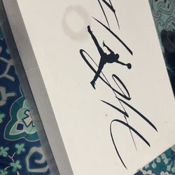 Air Jordan 4s “White Thunder”