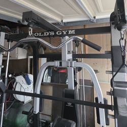 Golds Platinum  Gym Set 