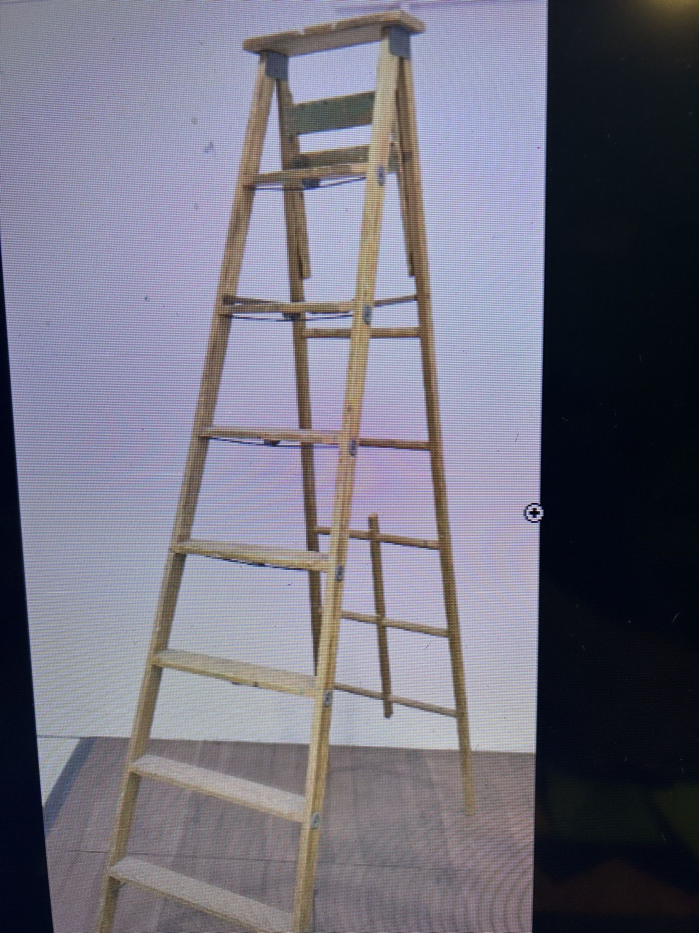 Ladder Werner 10’ - Reduced Price