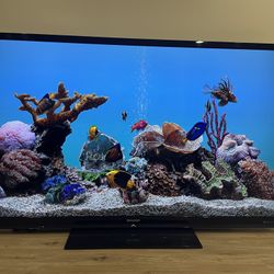80” SHARP AQUOS TV
