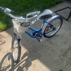 Schwinn Bike