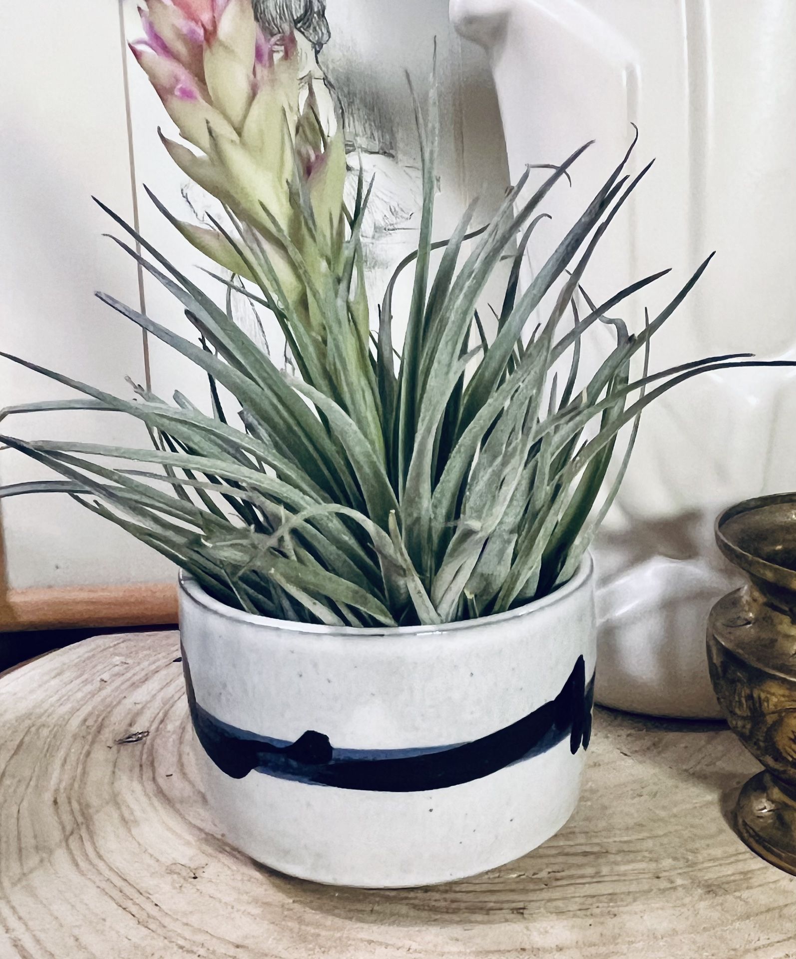 Mini Redware Planter 3.5” In Diameter, 2” High