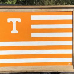 18x24 UT Painting 