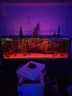 167 gallon WaterBox set