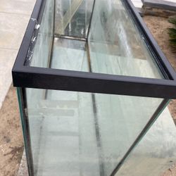 Fish Tank 