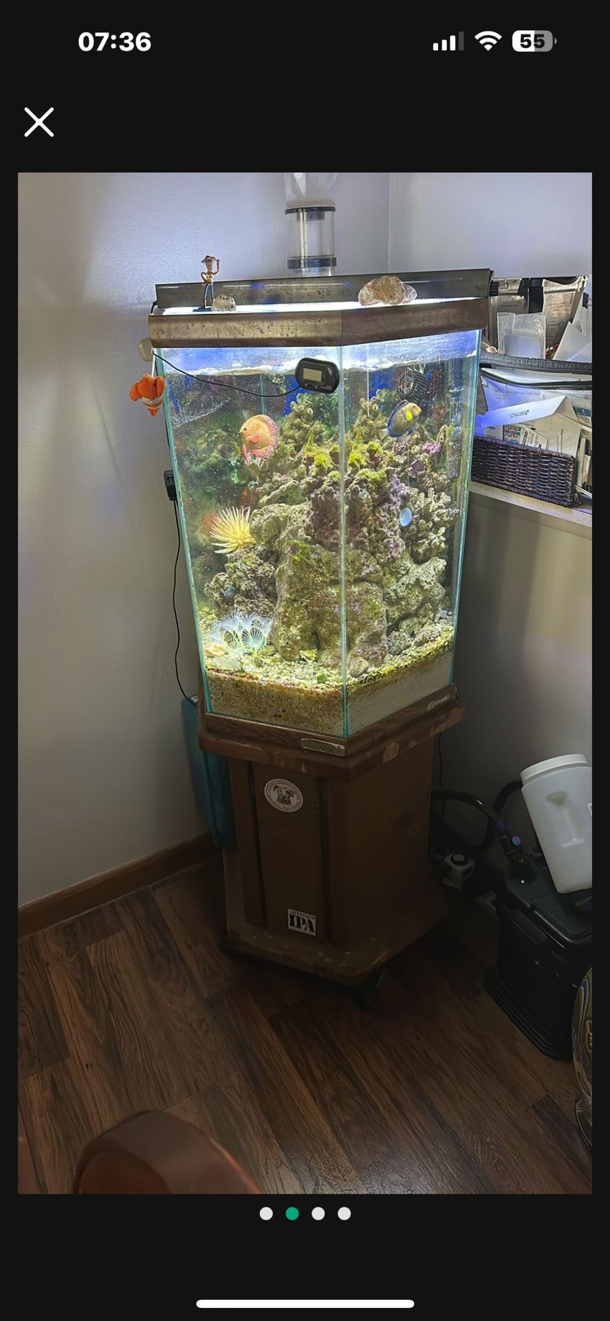 Fish Tank