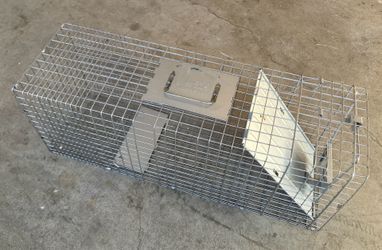 Animal trap