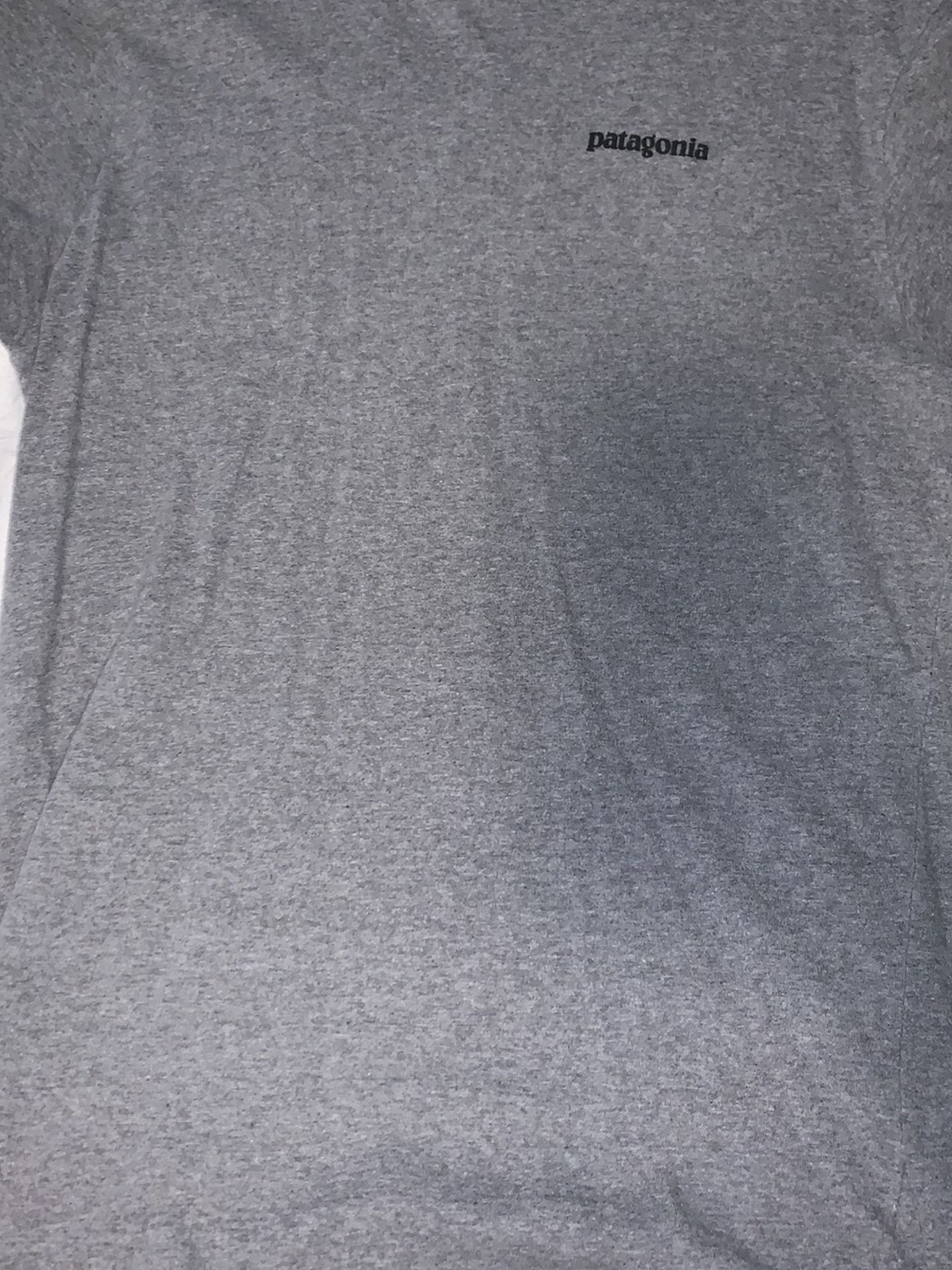 Patagonia T Shirt Men’s
