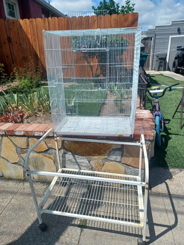 Bird Cage