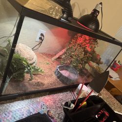50 Gallon Tank 