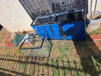 75 ＆ 20 gallons Fish Tank