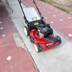 Toro En Venta 