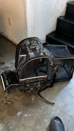 Cat outdoor bag