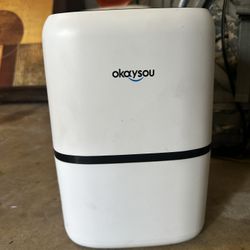 Okaysou AirMic4S Air Purifier – Covers 300 Sq. Ft.