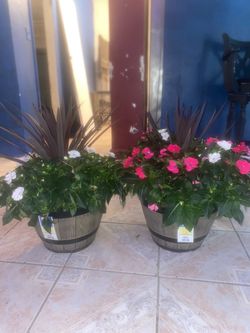 Flowers