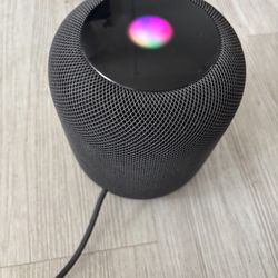 Apple Home Pod 1st Generation 