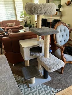 Cat Playground