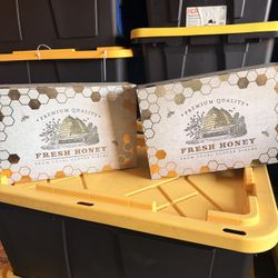 Bee Boxes - Medium - 2 (retails $24.99 Each) 