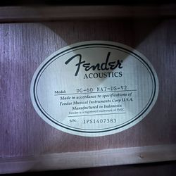 Fender DG~60 (!Pick up Only!)