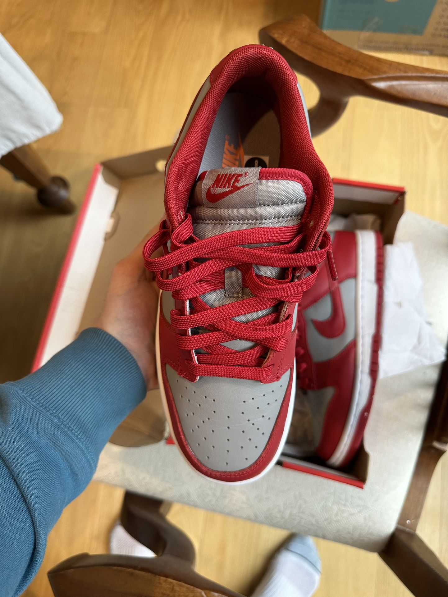 Nike Dunk Low Unlv Men's shoes