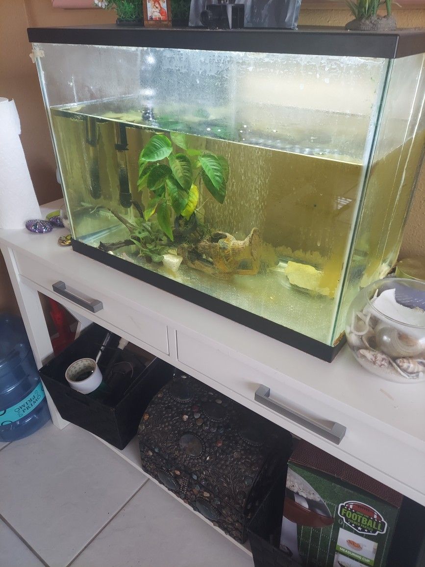 Fish Tank 25 gallon With Aer Pomp, Filter, Termometer Nice Decoration ....