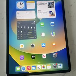 iPad Pro 12.9” 4th Generationg with FREE USB-C charger. Has cellular capable  256GB