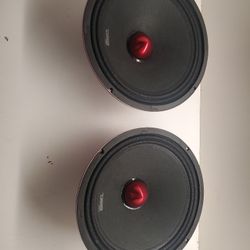 10 Inch DS 18 Mid Range Speakers