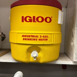 3 Gallon Igloo