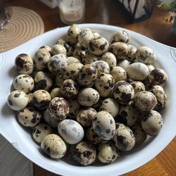 Protein 