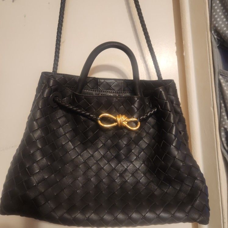 Bottega Veneta Andiamo Bag (Medium)