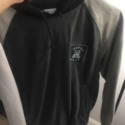 Teddy Fresh Small