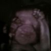 cinthya