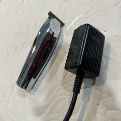 Wahl Detailer