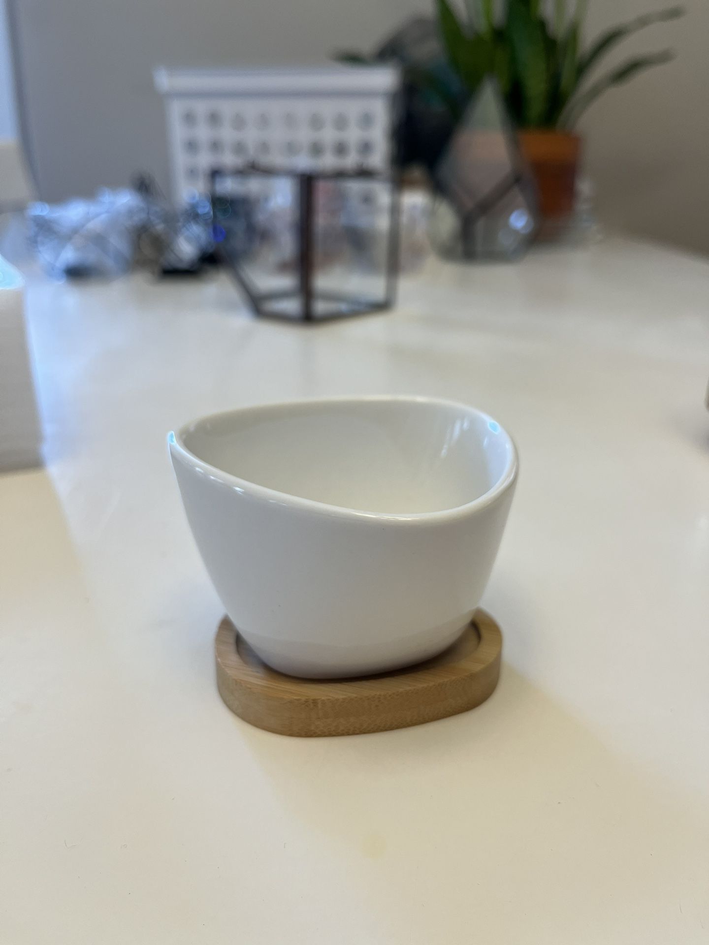 Ceramic Pot For Plants/Bosnia Tree