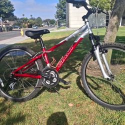 GIANT 21- Speed Mountain  Bike In  Excellent. Condition 