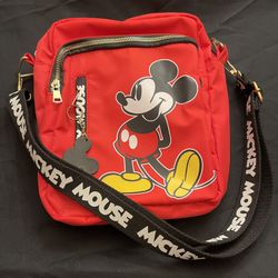 Mickey Bag