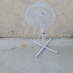 Fan