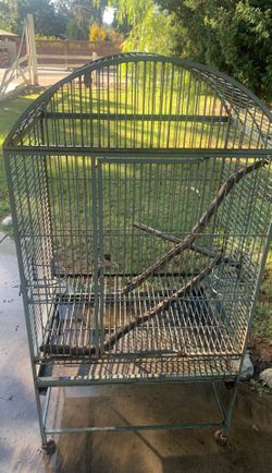 California bird cage