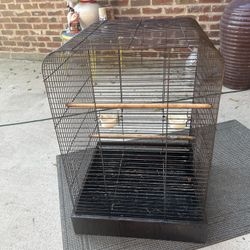 Bird Cage