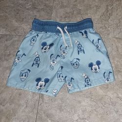 Disneh Mickey Mouse Boys Swimming Trhbks 