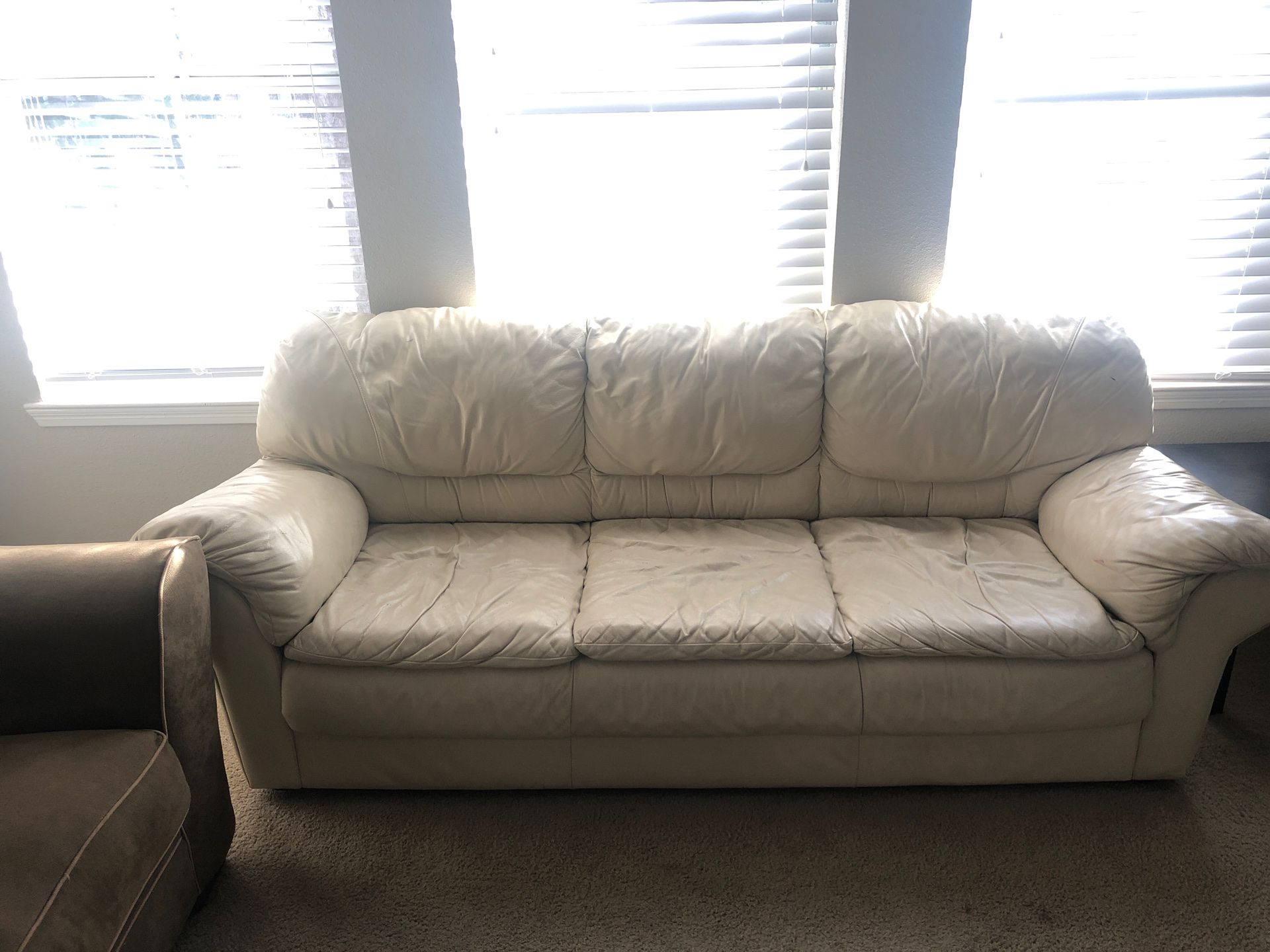 Couch for Sale! $50 or best offer!