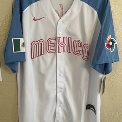 México Jersey (white/pink/blue)