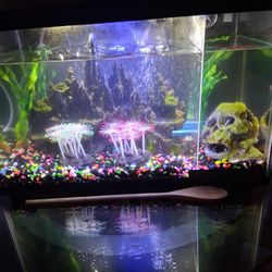 Custom made aquarium fish tank dividers